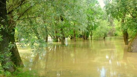 Foto - Aleksander Koren